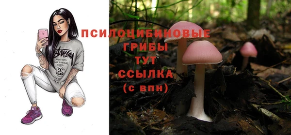соль ск Богородицк