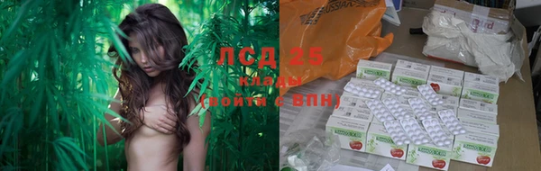 соль курить ск Богданович