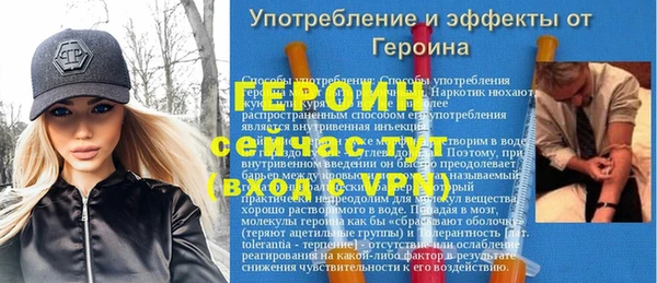 гидра Богородск