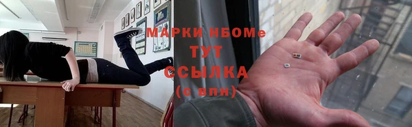 гидра Богородск