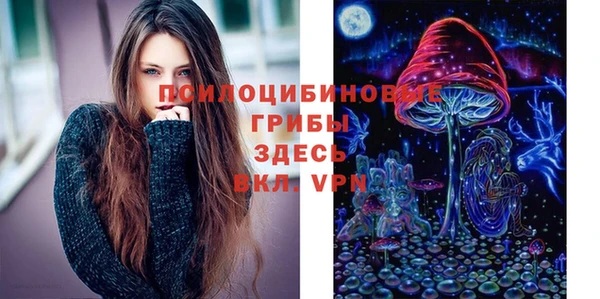 гидра Богородск