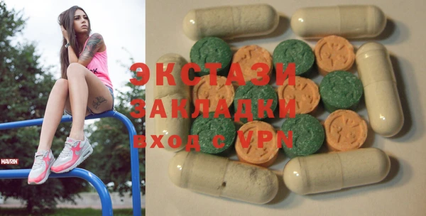 гидра Богородск